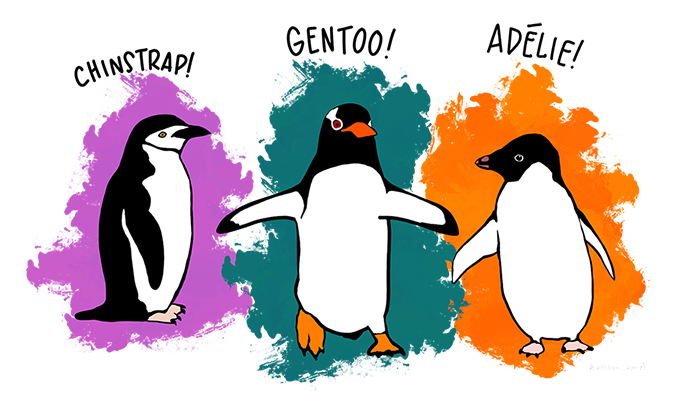 The palmer penguins image